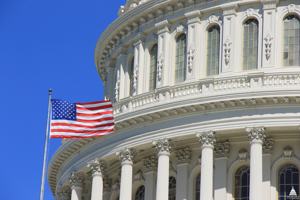 Capitol-HalfDomewFlag-1024x683